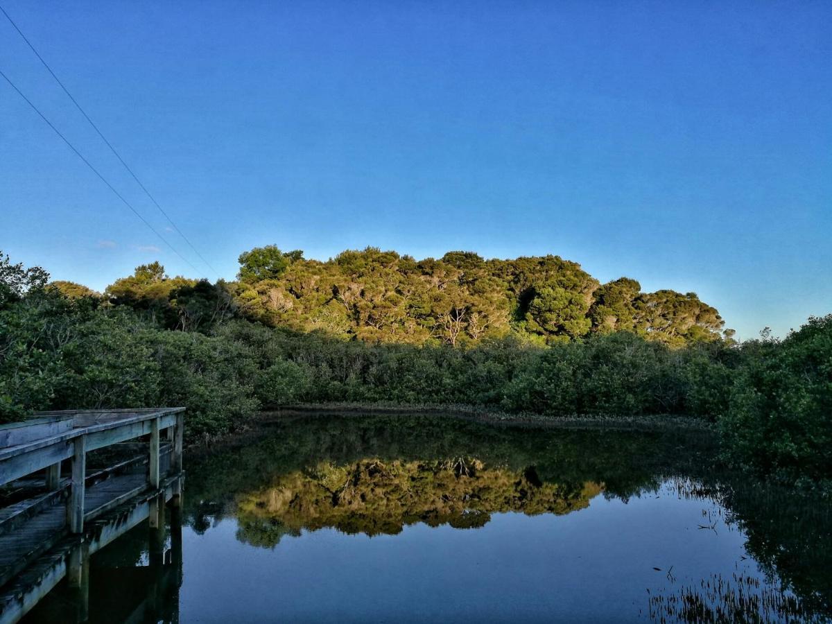 הוילה קאריקרי Aroha Island מראה חיצוני תמונה